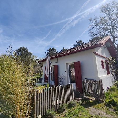 D&D, La Maison Des Ecureuils Lesperon Kültér fotó